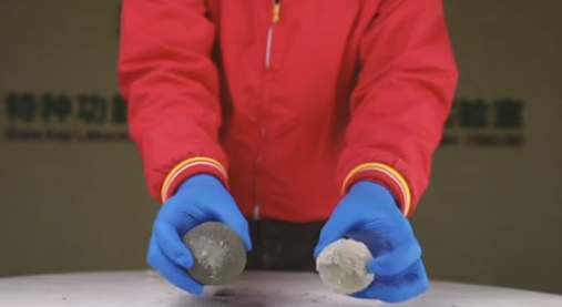 16695385932483539G6C.png clip_image009.png