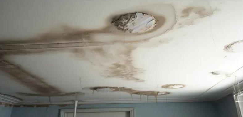 1729048211908518I7Wu.png image.png