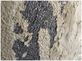 1558787445935071.jpg 1_180424185436_4.jpg