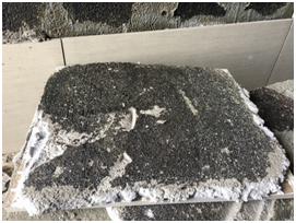 1558787449877133.jpg 1_180424185436_3.jpg