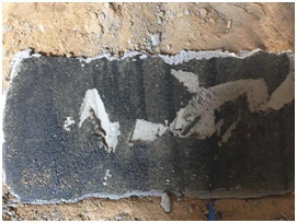 1558787459161094.jpg 1_180424185436_2.jpg