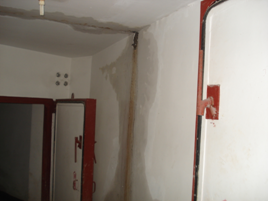 1558788446214465.png 1_180424190842_1.png