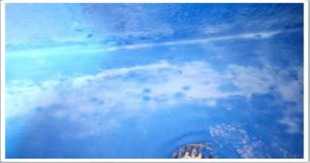 1568775574664062.png image.png