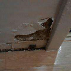 1604643401804574.png 1604643401804574.png