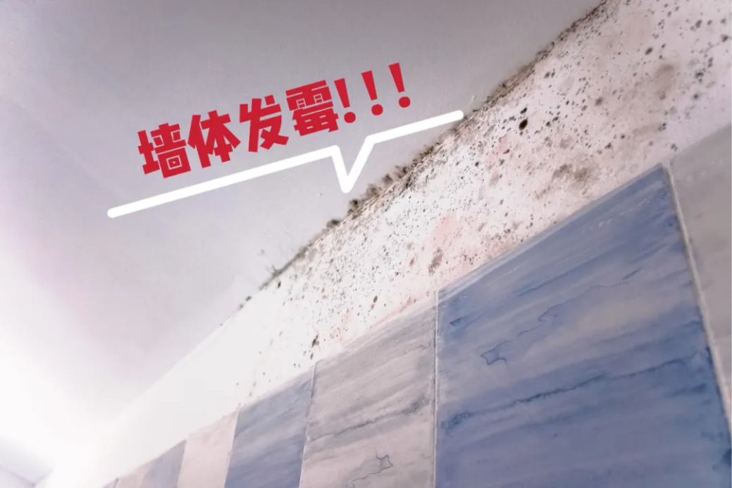 墙面长霉斑怎么办?东方雨虹三步帮你搞定 墙面长霉斑怎么办?东方雨虹三步帮你搞定